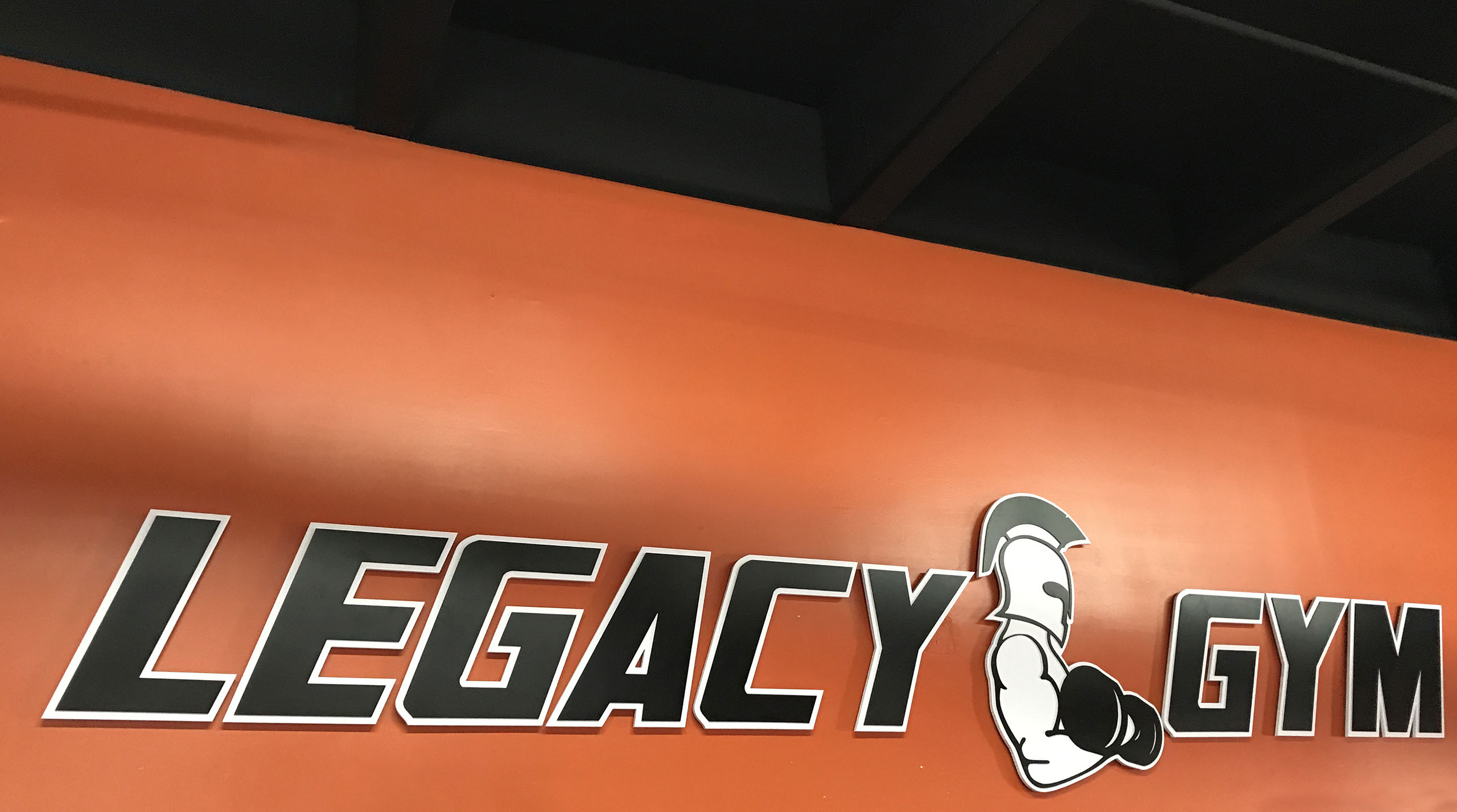 Cut Out Plastic Logo Signs- New Orleans - Nola - Engraved Wooden Signs - Braille Signs - SandBlasted 