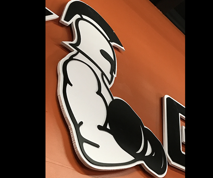 Plastic Cut Out Letters and Shapes - Lighted Signs - Illuminated Sign Boxes 