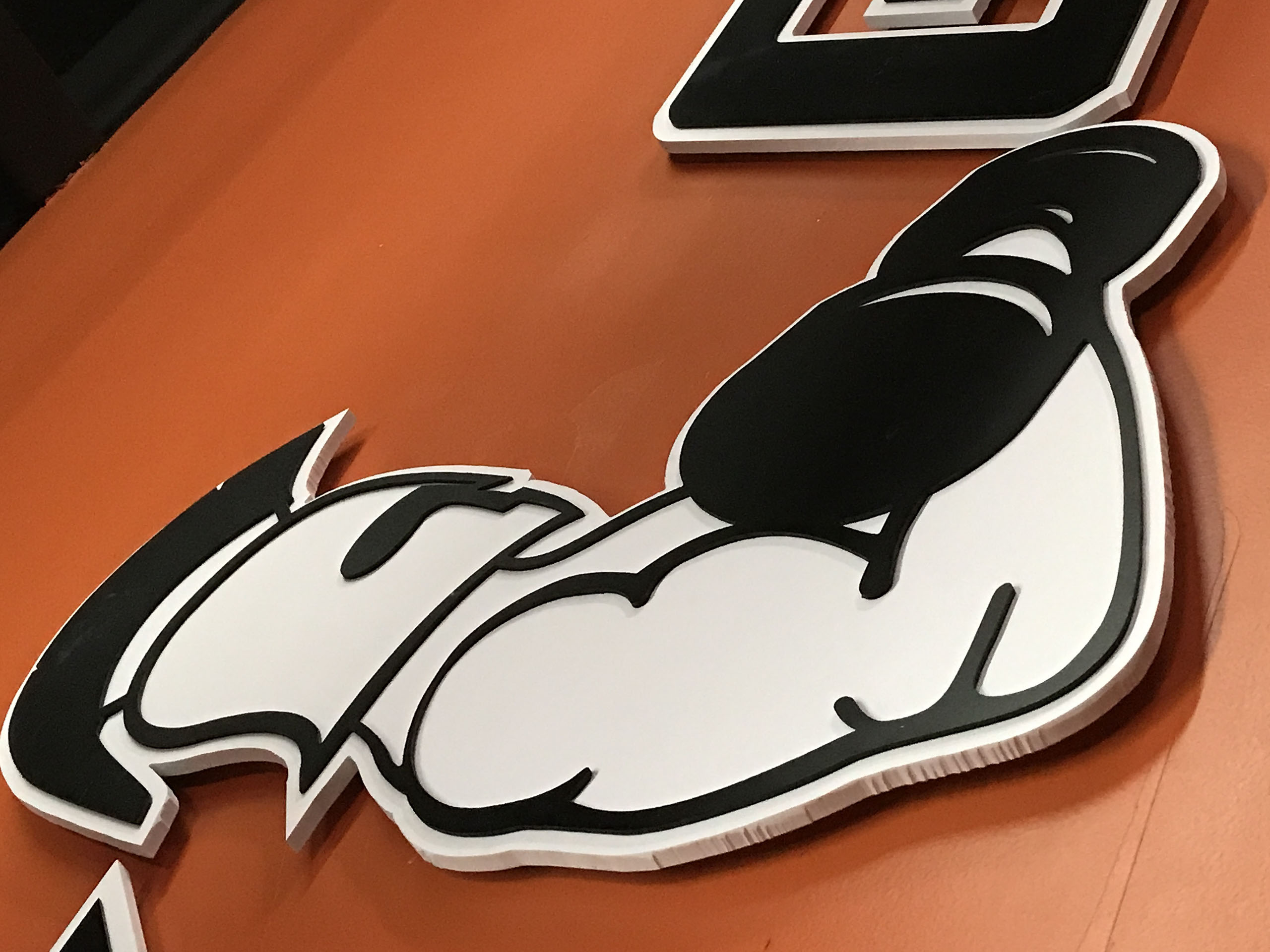 Plastic Cut Out Letters and Shapes - Lighted Signs - Illuminated Sign Boxes 