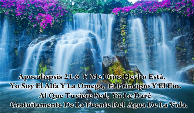 Trailer Graphics - Full Color Printing - New Orleans - Nola - Large Format Printing - Vinyl Instalation and Removal - Signs Free Estimates 