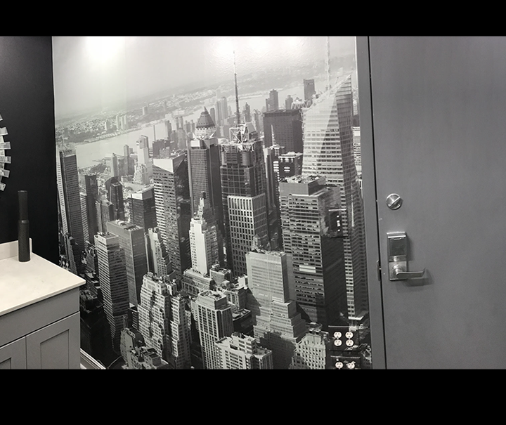 Wall Decorative Mural - New Orleans - Nola - Wall Accent - Wall Decoration Mural 