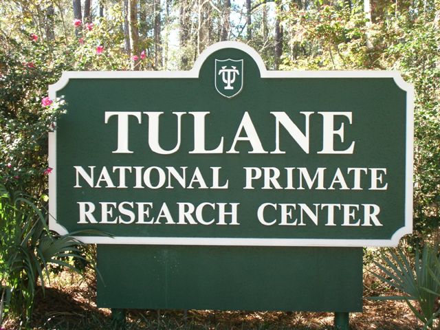 Monument Signs- New Orleans - Pylon Signs Nola - Monument Signs Nola- 2 Simensional Pylon Signs- Architectural Monument Signs Nola- New Orleans