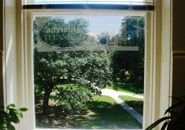 One Way Window Film -New Orleans - Nola - Window Decals - Window Graphics - Window Perf